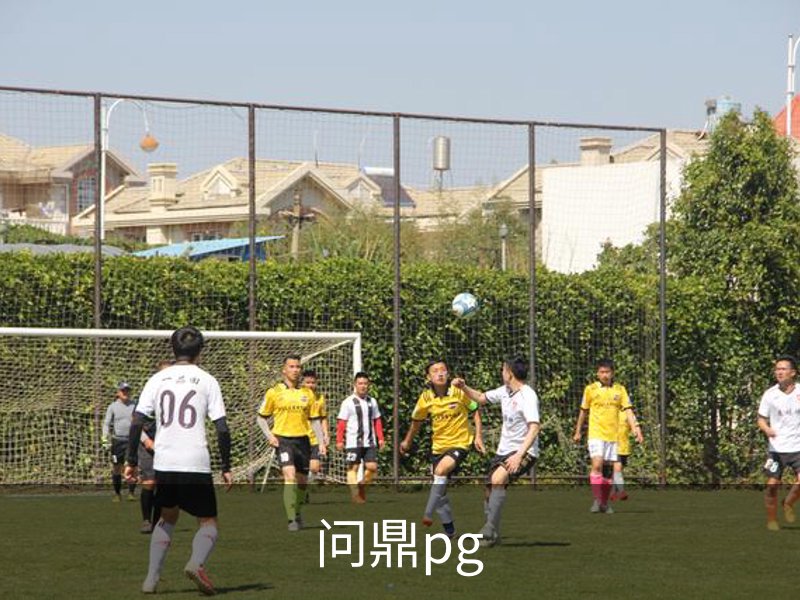 问鼎pg概况